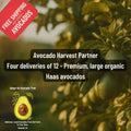 Avocado Harvest Partner-Four Shipments of 12 Delicious Organic Avocados