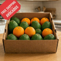 Dozen Premium Organic Hass Avocados