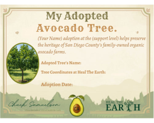 Avo Lover Tree Adoption: 1 Delivery (SD Fair)