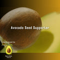 Avocado Seed Supporter